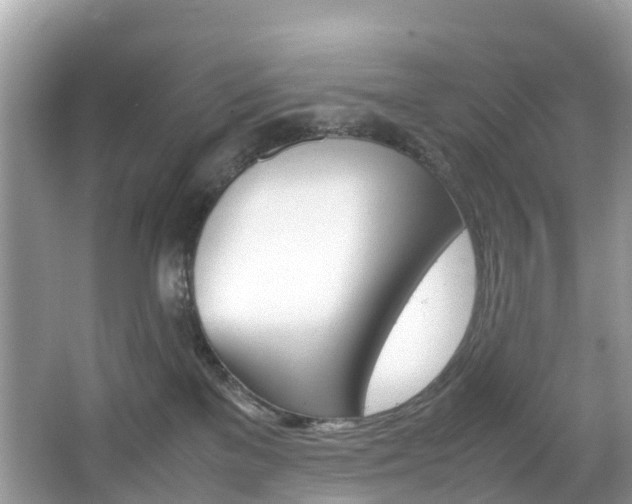 X0000067380137200603311030
