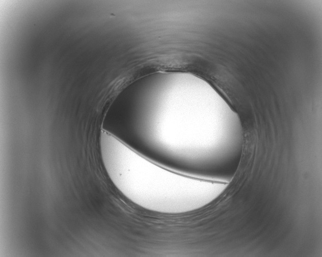 X0000067380143200603311030