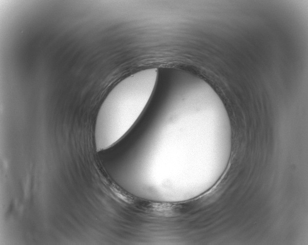 X0000067380144200603311030