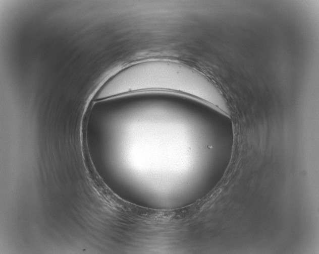 X0000067380148200603311029