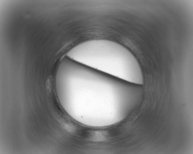 X0000067380165200603311029