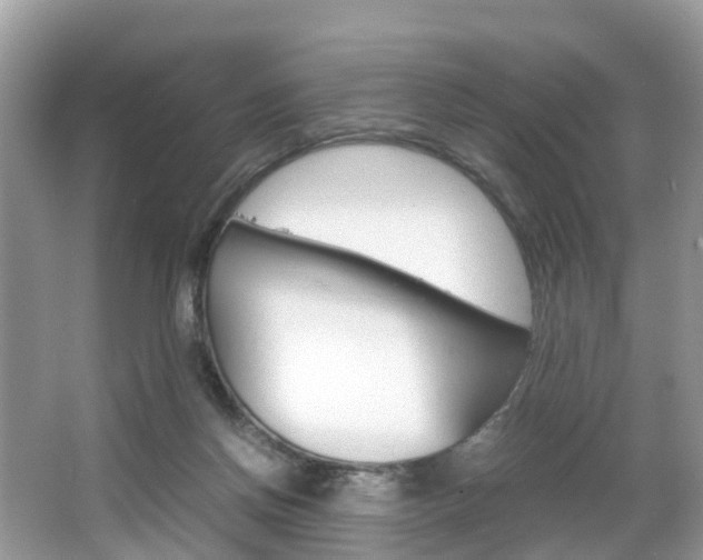 X0000067380166200603311029