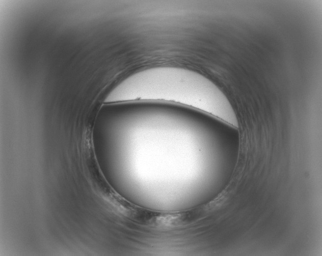 X0000067380172200603311029