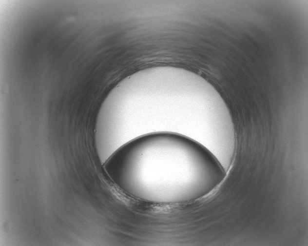 X0000067380190200603311030