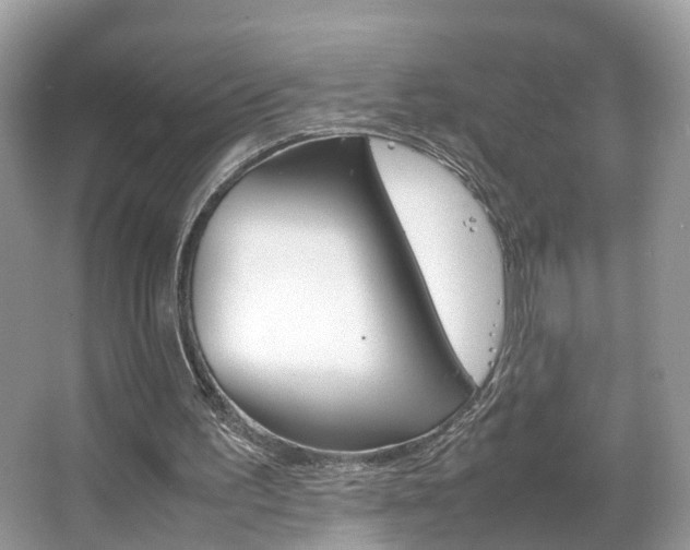 X0000067380195200603311029