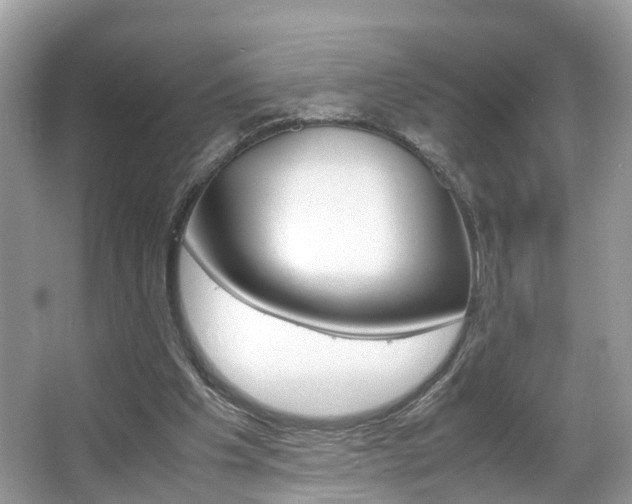 X0000067380201200603311029