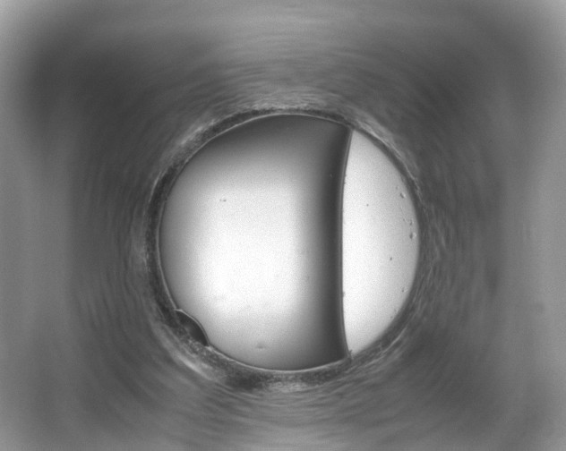 X0000067380203200603311029