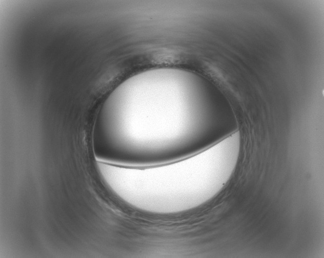 X0000067380211200603311029
