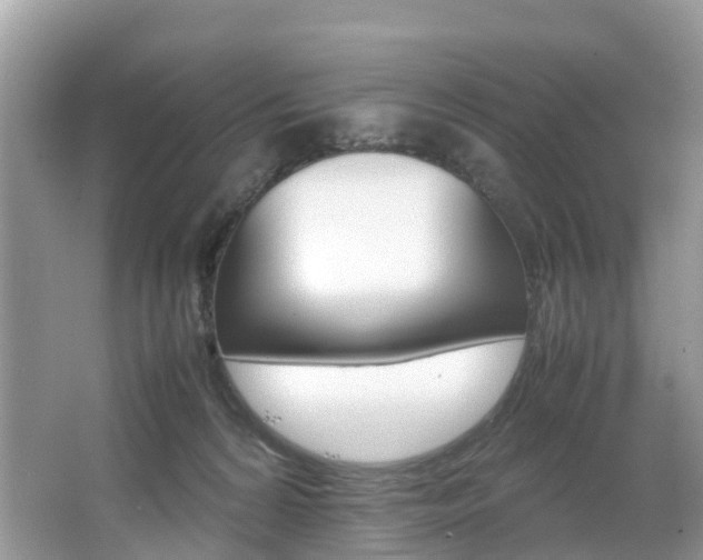 X0000067380224200603311028