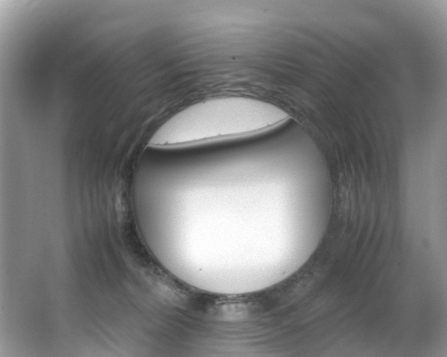 X0000067380228200603311028
