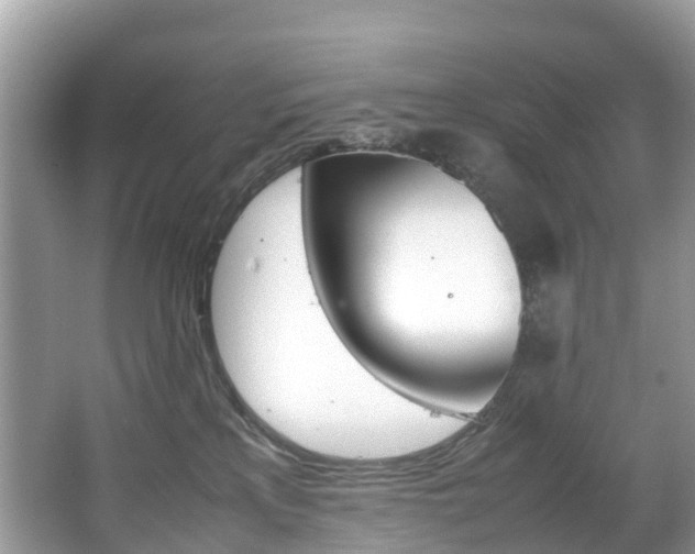 X0000067380233200603311028