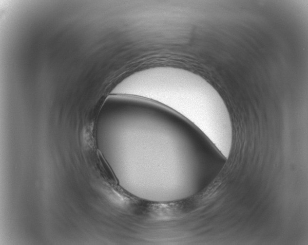 X0000067380239200603311028