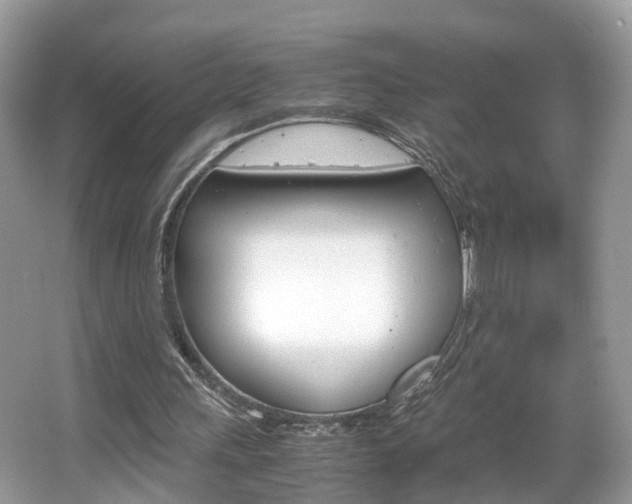 X0000067380243200603311027