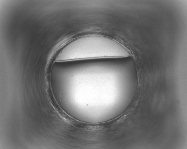 X0000067380245200603311027