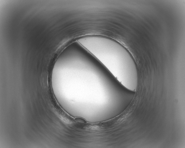 X0000067380253200603311028