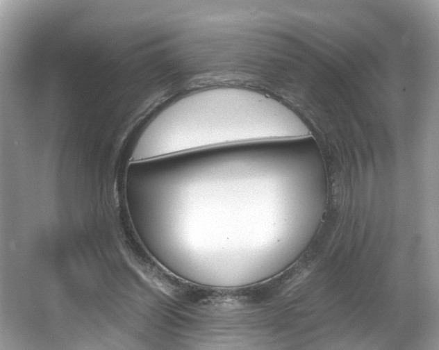 X0000067380254200603311028