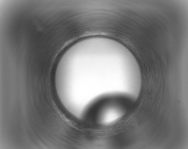 X0000067380256200603311028