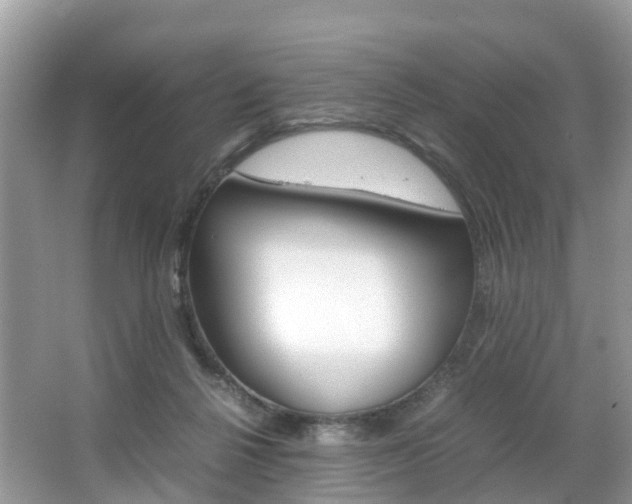 X0000067380264200603311028