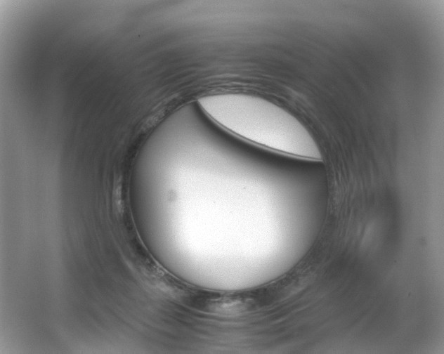 X0000067380267200603311028