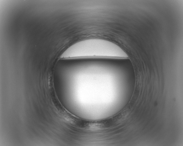 X0000067380268200603311028