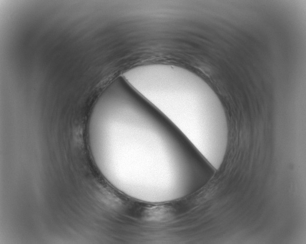X0000067380269200603311028