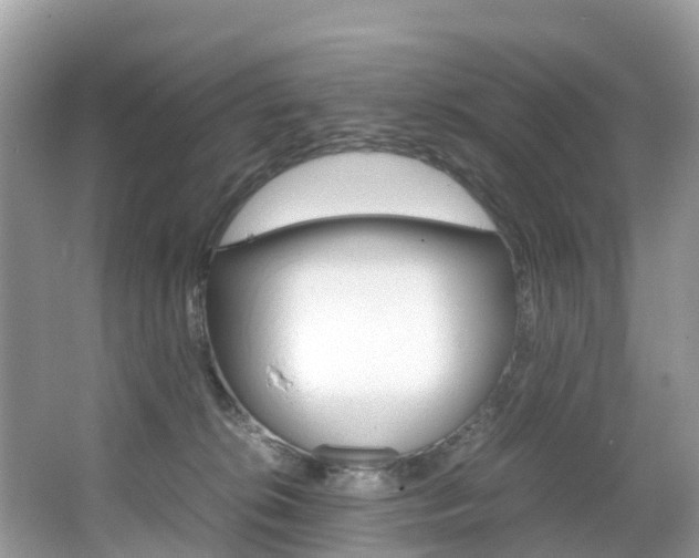 X0000067380276200603311028