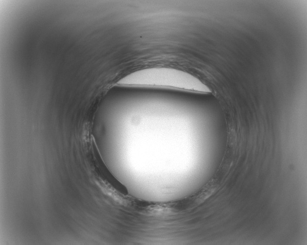 X0000067380284200603311028