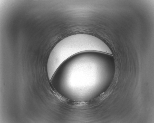 X0000067380288200603311028