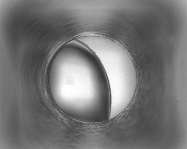 X0000067380289200603311027