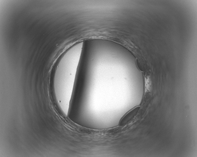 X0000067380291200603311027
