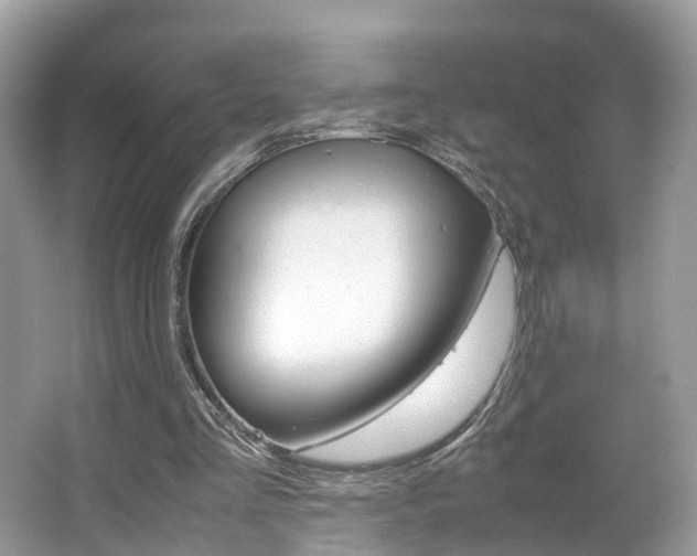 X0000067380293200603311027