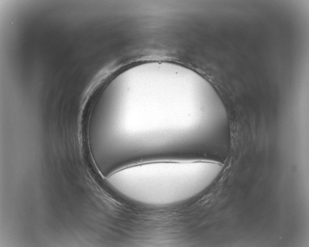 X0000067380296200603311027