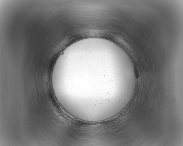 X0000067380306200603311027