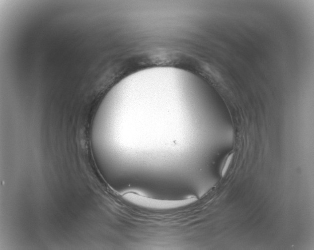 X0000067380317200603311027