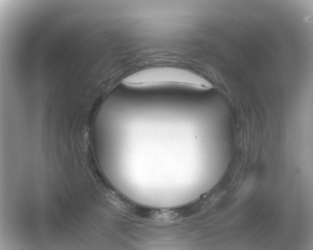 X0000067380321200603311027