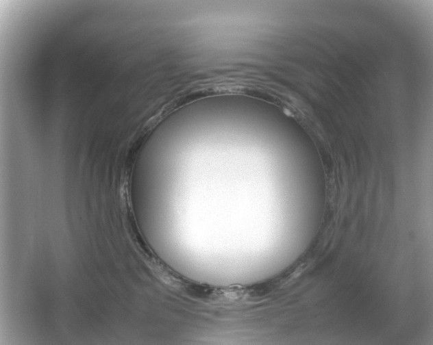 X0000067380329200603311027