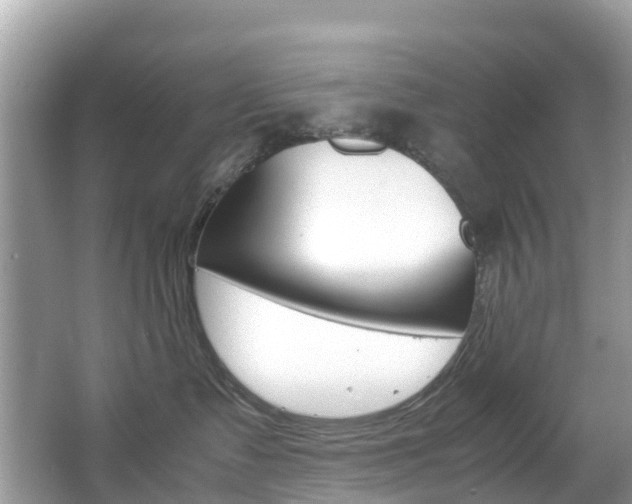 X0000067380335200603311027