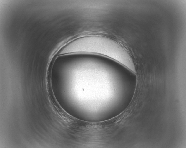 X0000067380340200603311026