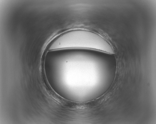 X0000067380344200603311026