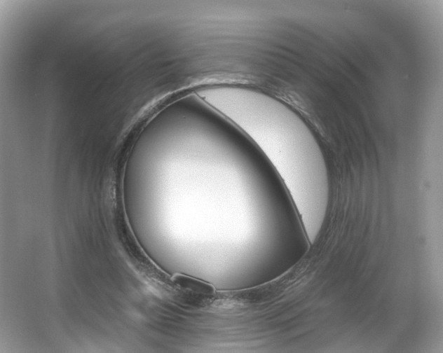 X0000067380348200603311026