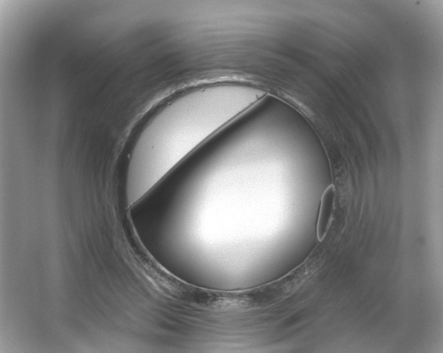 X0000067380350200603311026