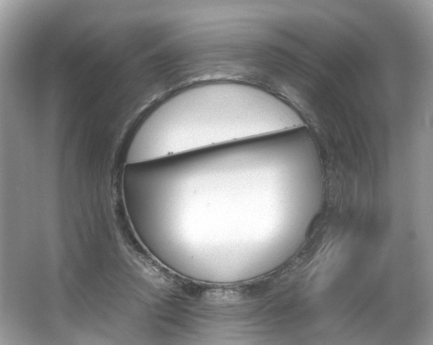 X0000067380354200603311026