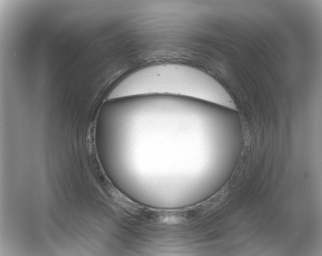 X0000067380360200603311026