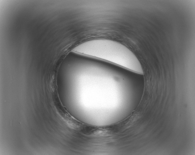 X0000067380364200603311026