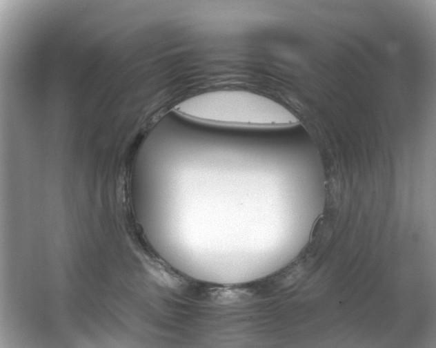 X0000067380379200603311026