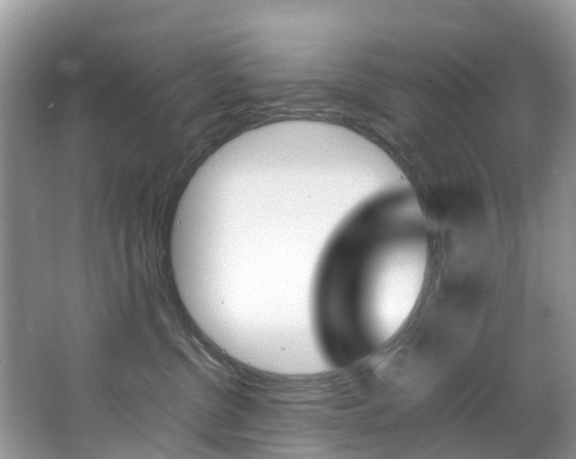 X0000067380380200603311026