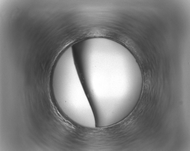 X0000067380386200603311026
