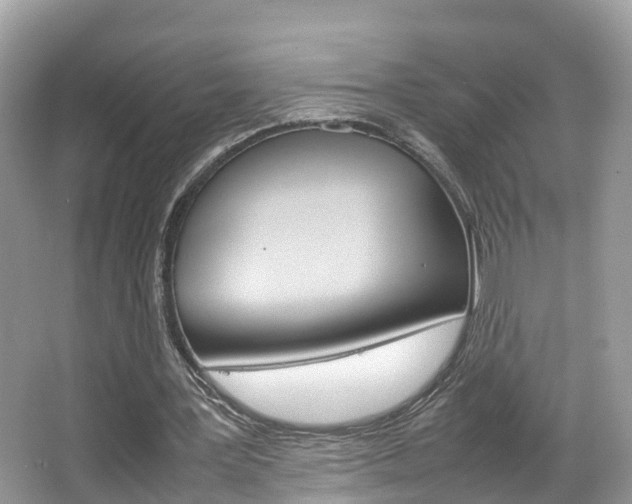 X0000067380387200603311026