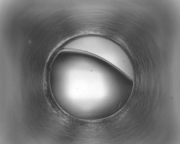 X0000067380388200603311026