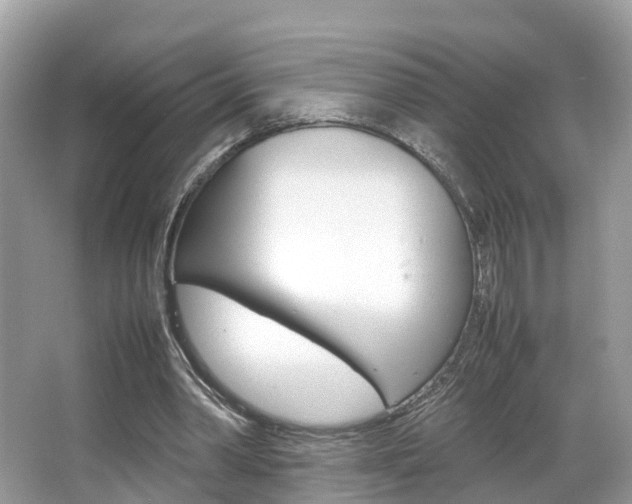 X0000067380390200603311026